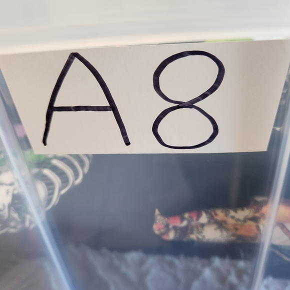 Saints & Sinners Pinocchio Tinker Bell Embroidered Black Striped Larg Polo Shirt - Picture 8 of 8